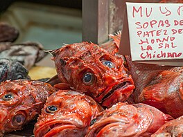 �eb�í�ek, z n�ho� se vám nejspí� nebudou sbíhat sliny, sestavil TasteAtlas....