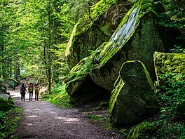 Národní park Schwarzwald, esky erný les, je výrazn zalesnným pohoím na...