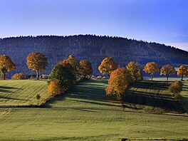Ve dvou se to lépe táhne. A proto Bavorský les (s výmrou 24 250 hektar),...