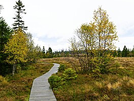 Láká na hluboké lesy, vesovit, výlapy do pohoí Brocken a jízdu...