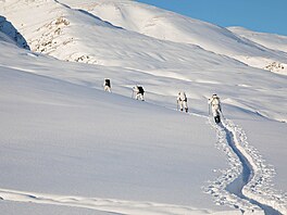 Americké speciální jednotky pro boj v horách a dánské speciální jednotky...