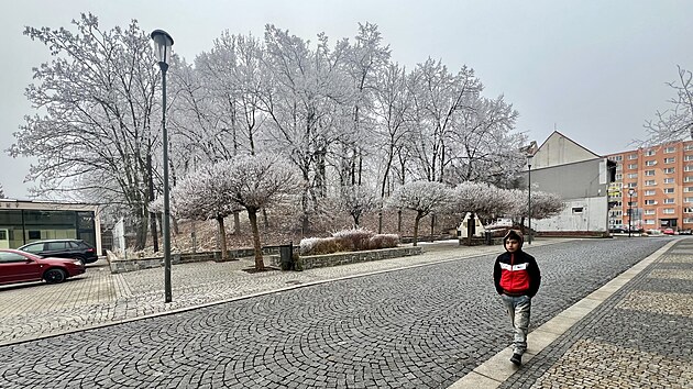 Neudrovanou zele nad historickmi sklepy v Jirkov nahrad nov park. (leden 2025)