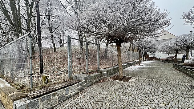 Neudrovanou zele nad historickmi sklepy v Jirkov nahrad nov park. (leden 2025)