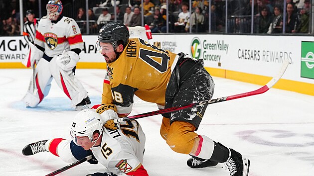 Tom� Hertl v souboji s Antonem Lundellem.