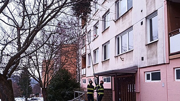 Po loskch Vnocch odstraovali hasii odstrojen stromek tak na sdliti Jin Svahy ve Zln. (leden 2024)