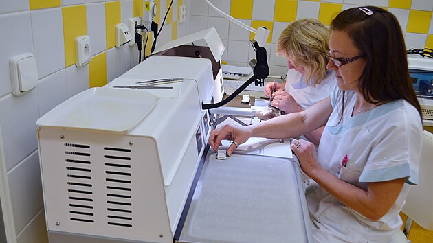 Na odd�lení patologie ve vala�skomezi�í�ské nemocnici Agel pracují laboranti s...