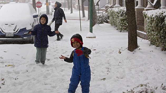 Texas a dal�� oblasti Spojen�ch st�t� kolem Mexick�ho z�livu zasypal sn�h. Sn�mek poch�z� z Houstonu. (21. ledna 2025)