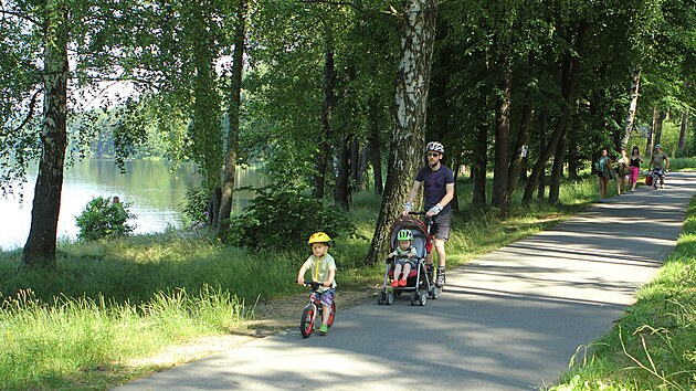 Projekt Viva Lipno m stt mezi Lipnem nad Vltavou a Frymburkem. Domy a bytov domy jsou naplnovan mezi cyklostezkou a silnic, kter ob obce spojuje.