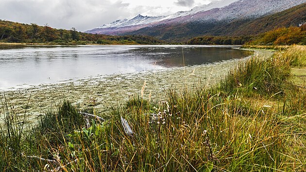 Tierra del Fuego National Park v Argentin� nab�z� m�n� n�ro�n� treky, kter� zvl�dne i za��te�n�k.