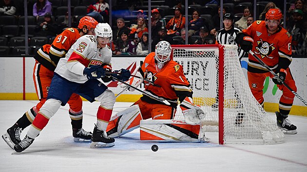 Luk� Dost�l (1) z Anaheim Ducks se v z�pase s  Florida Panthers sna�� udr�et puk p�ed ��rou, �to�� Tom� Nosek (92).