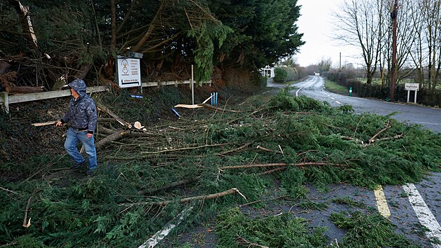 Bou�e �owyn zas�hla Britsk� ostrovy a zanechala spou��. V Feighcullenu v Irsku l�mala v�tve. (24. ledna 2025)