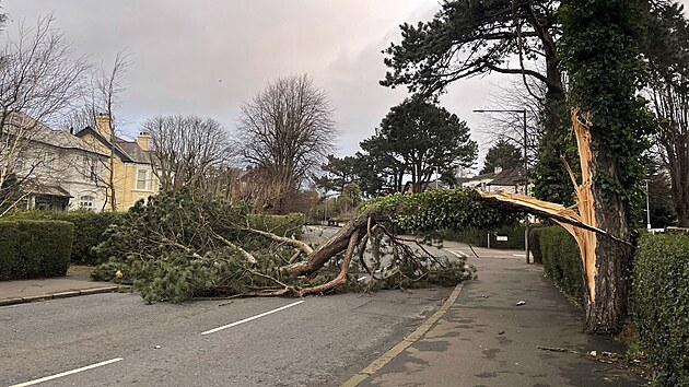 Bou�e �owyn zas�hla Britsk� ostrovy a zanechala spou��. Silnice pobl� Belfastu blokuj� pol�man� v�tve. (24. ledna 2025)