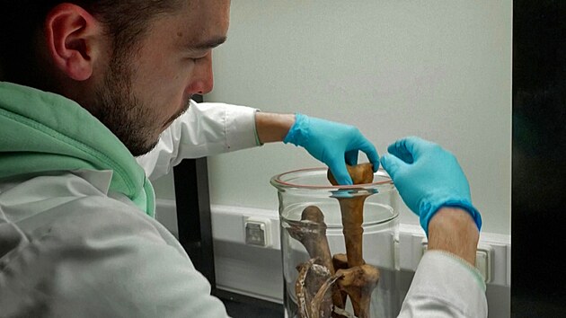 Belgick� v�zkumn�k Clement Martin spolupracuje s feder�ln� polici� p�i vytv��en� pachu, kter� napodobuje vysu�en� lidsk� kosti.