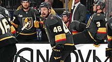 Tomá� Hertl z Vegas Golden Knights slaví gól proti Dallas Stars.