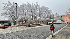 Neudr�ovanou zele� nad historickými sklepy v Jirkov� nahradí nový park. (leden...