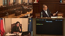 Babi� ozna�il opakovan� Foltýna za magora