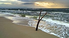 Kdy� se po�así zakaboní, zejí baltské plá�e prázdnotou. Srpnový snímek je z...