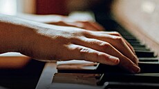 Hudební gymnázium �eské Bud�jovice otevírá dal�í ro�ník