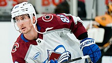 Premiéru v dresu Coloradu za�il �eský úto�ník Martin Ne�as na led� Bostonu.