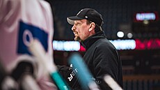 Spar�anský kou� Pavel Gross b�hem tréninku ve �védském Karlstadu