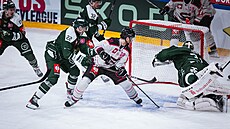 Spar�an�tí hokejisté vyrovnávají v semifinálové odvet� Ligy mistr�, puk si po...