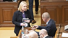 Poslanecká snmovna. Jana ernochova (ODS) s Andrej Babi (ANO). (21. ledna...