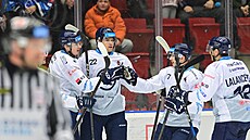 Plze�tí hokejisté se radují z gólu v derby proti Karlovým Var�m.
