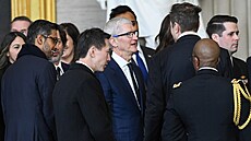 Generální �editel Applu Tim Cook se baví s majitelem Tesly Elonem Muskem na...