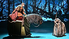 M�stské divadlo Brno p�ipravilo velkolepý muzikál nazvaný Pohádka o �ivé vod�....