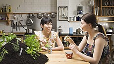 Nemusíte zrovna p�stovat bylinky v hromad� �erstvého substrátu na stole, a...