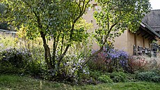 Do trvalkových záhon� jsou zakomponované i traviny, ke�e a vícekmeny.