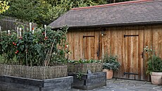 B�hem sezony se tu skl�zej� raj�ata, okurky, papriky, mrkev, d�n� �i cukety.