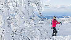 Rájem b�ka�� v Jeseníkách je Paprsek