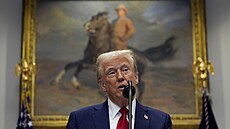 Donald Trump při svém projevu. (21. ledna 2025)
