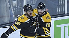 David Pastrák (88) a Pavel Zacha (18) oslavují gól Boston Bruins.