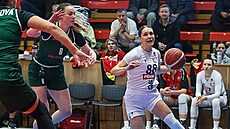 Natálie Martiková ze Sokola Hradec Králové u míe v zápase s SB Ostrava,...