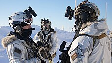 Americké speciální jednotky pro boj v horách a dánské speciální jednotky...