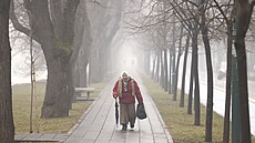 Sarajevo op�t zahalil smog. N�kte�í lidé kv�li zne�i�t�nému vzduchu nosí rou�ky...
