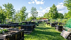 Kaufland ji� �ty�i roky podporuje komunitní zahrady po celém �esku...