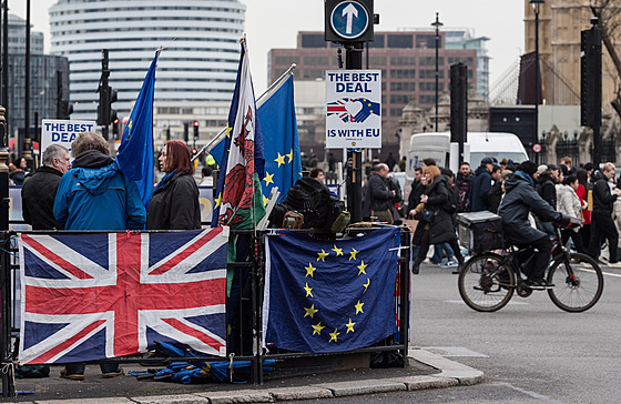 Protest v Londýn ped pátým výroím brexitu (29. ledna 2025)