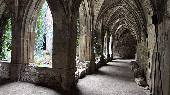 Od za�átku byl klá�ter zasv�cen Pann� Marii, nazývané církví také jako R��e...