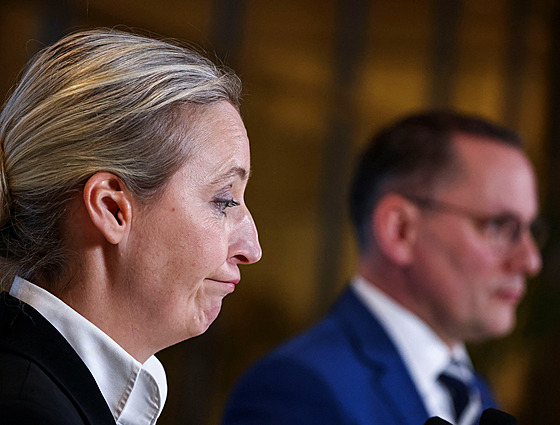 Kandidátka na kancléku za Alternativu pro Nmecko (AfD) Alice Weidelová (31....