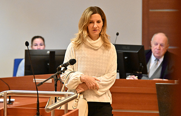Manipulovalo se s městskými prostory v Brně? Bytová kauza míří do finále