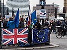 Protest v Londýn� p�ed pátým výro�ím brexitu (29. ledna 2025)