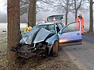 Mlad� �idi� narazil do stromu na silnici mezi Bukem a Jem�inou.