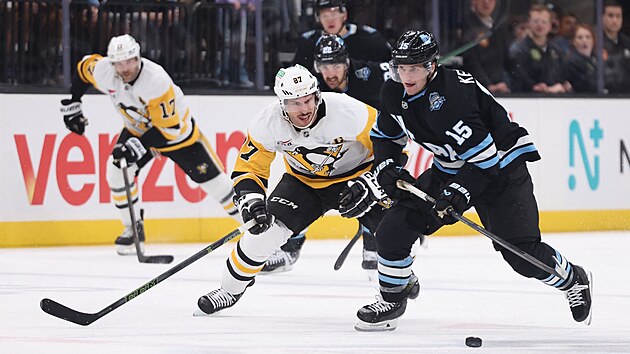 Sidney Crosby z Pittsburgh Penguins chce obrat o puk Alexandera Kerfoota z Utahu.