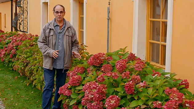 Zahradn�k Pavel Chlouba p�edstavuje hortenzii velkolistou, kr�lovnu mezi...