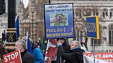 Protest v Londýn ped pátým výroím brexitu (29. ledna 2025)