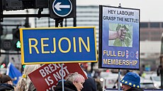 Protest v Londýn ped pátým výroím brexitu (29. ledna 2025)