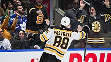 Hokejový úto�ník David Pastr�ák slaví sv�j gól s fanou�ky Bostonu.